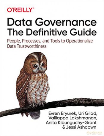 Data Governance: The Definitive Guide: People, Processes, and Tools to Operationalize Data Trustworthiness - Evren Eryurek [KSIĄŻKA]