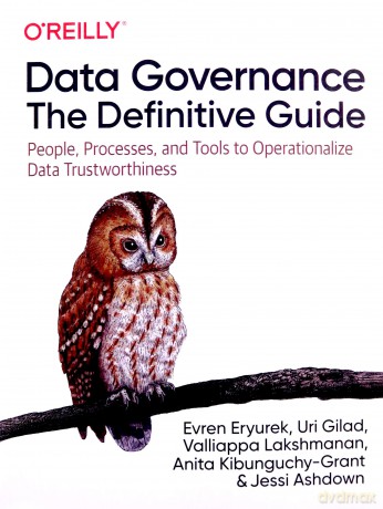Data Governance: The Definitive Guide: People, Processes, and Tools to Operationalize Data Trustworthiness - Evren Eryurek [KSIĄŻKA]