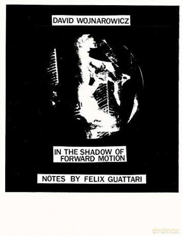David Wojnarowicz: In the Shadow of Forward Motion - Felix Guattari [KSIĄŻKA]