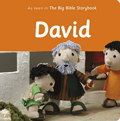 David: As Seen In The Big Bible Storybook - Maggie Barfield [KSIĄŻKA]