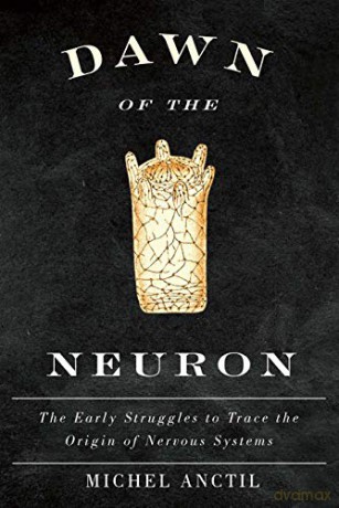 Dawn of the Neuron: The Early Struggles to Trace the Origin of Nervous Systems - Michel Anctil [KSIĄŻKA]