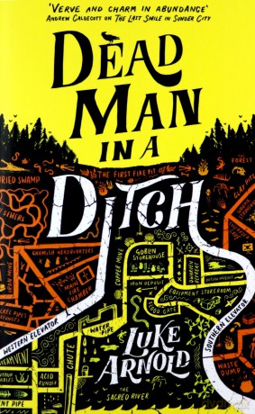 Dead Man in a Ditch: Fetch Phillips Book 2 - Luke Arnold [KSIĄŻKA]