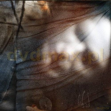 Din Brad: Dor (digipack) [CD]