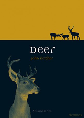 Deer (Animal Series) - John Fletcher [KSIĄŻKA]