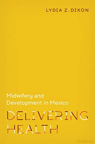 Delivering Health: Midwifery and Development in Mexico: 2 (Policy to Practice) - Lydia Z. Dixon [KSIĄŻKA]