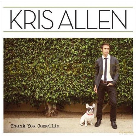 Kris Allen: Thank You Camellia [CD]