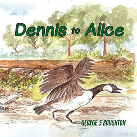 Dennis to Alice - George S Boughton [KSIĄŻKA]
