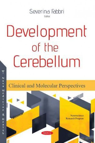 Development of the Cerebellum: Clinical and Molecular Perspectives (Neuroscience Research Progress) - Severina Fabbri [KSIĄŻKA]