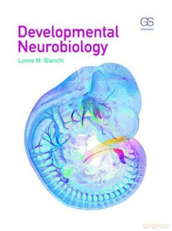 Developmental Neurobiology - Lynne Bianchi [KSIĄŻKA]