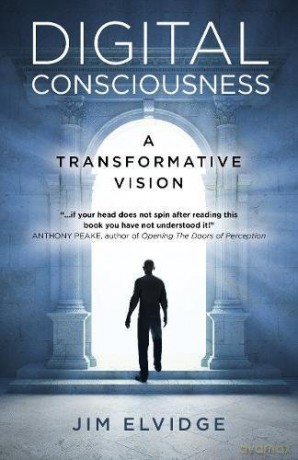 Digital Consciousness: A Transformative Vision - Jim Elvidge [KSIĄŻKA]