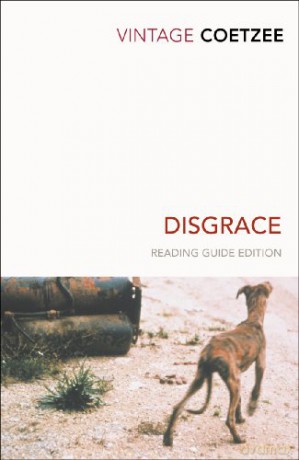 Disgrace (Vintage Classics) - J.M. Coetzee [KSIĄŻKA]