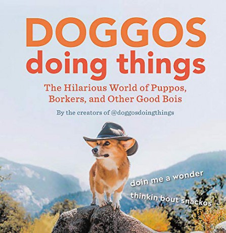 Doggos Doing Things: The Hilarious World of Puppos, Borkers, and Other Good Bois [KSIĄŻKA]