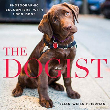 Dogist, The: Photographic Encounters with 1,000 Dogs [KSIĄŻKA]