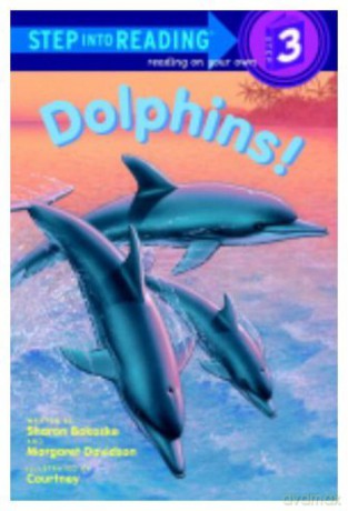 Dolphins! [KSIĄŻKA]