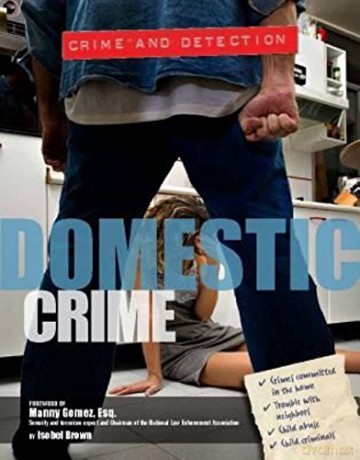 Domestic Crime: 20 (Crime and Detection) - Isobel Brown [KSIĄŻKA]