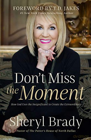 Don't Miss the Moment: How God Uses the Insignificant to Create the Extraordinary - Sheryl Brady [KSIĄŻKA]