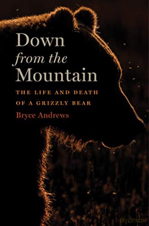 Down from the Mountain: The Life and Death of a Grizzly Bear - Andrews Bryce Andrews [KSIĄŻKA]