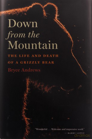 Down from the Mountain: The Life and Death of a Grizzly Bear - Andrews Bryce Andrews [KSIĄŻKA]