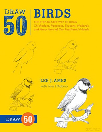 Draw 50 Birds: The Step-by-Step Way to Draw Chickadees, Peacocks, Toucans, Mallards, and Many More of Our Feathered Friends - Lee J. Ames [KSIĄŻKA]