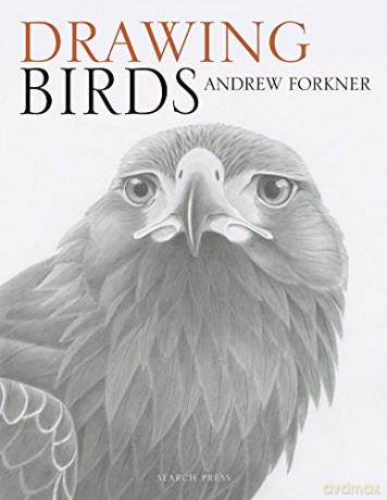 Drawing Birds - Andrew Forkner [KSIĄŻKA]