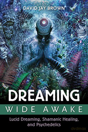 Dreaming Wide Awake: Lucid Dreaming, Shamanic Healing, and Psychedelics - David Jay Brown [KSIĄŻKA]