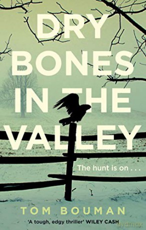 Dry Bones in the Valley - Tom Bouman [KSIĄŻKA]