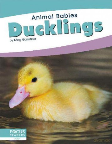 Ducklings (Animal Babies) - Meg Gaertner [KSIĄŻKA]
