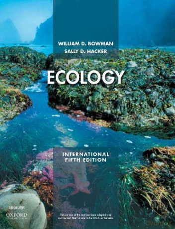 Ecology: International Edition - Sally D. Hacker [KSIĄŻKA]