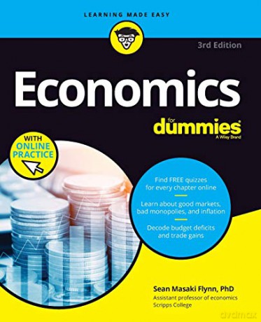 Economics For Dummies, 3rd Edition [KSIĄŻKA]