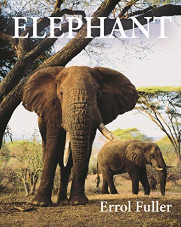 Elephant - Errol Fuller [KSIĄŻKA]