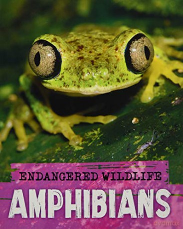 Endangered Wildlife: Rescuing Amphibians - Anita Ganeri [KSIĄŻKA]