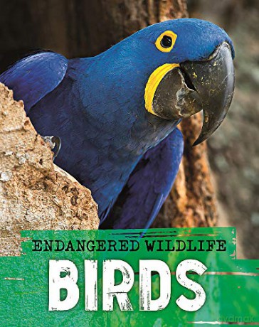 Endangered Wildlife: Rescuing Birds - Anita Ganeri [KSIĄŻKA]