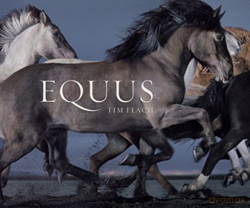 Equus (Mini): Tim Flach (MIni edition) - Tim Flach [KSIĄŻKA]