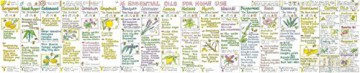 Essential Oils for Home Use - Liz Cook [KSIĄŻKA]