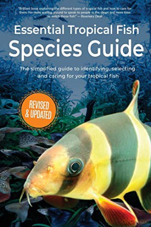 Essential Tropical Fish: Species Guide: 1 - Anne Finlay [KSIĄŻKA]