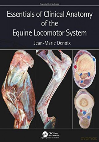 Essentials of Clinical Anatomy of the Equine Locomotor System - Jean-Marie Denoix [KSIĄŻKA]