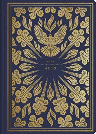 ESV Illuminated Scripture Journal: Acts [KSIĄŻKA]