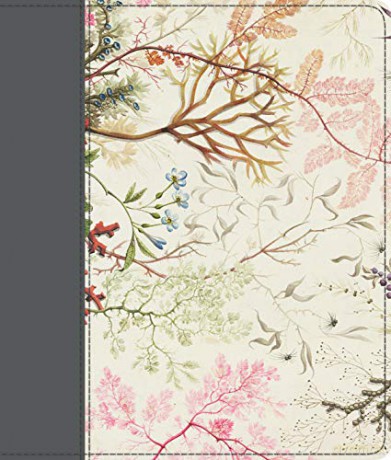 ESV Journaling Bible [KSIĄŻKA]
