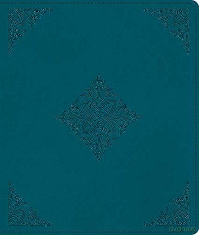 ESV Journaling Bible [KSIĄŻKA]