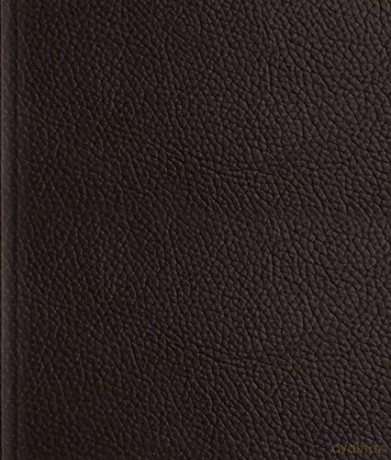 ESV Journaling Bible [KSIĄŻKA]