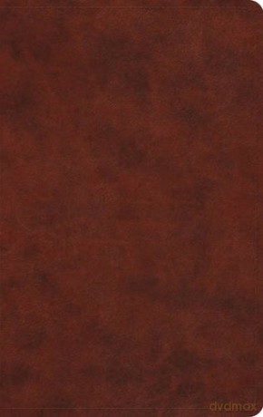 ESV Large Print Value Thinline Bible [KSIĄŻKA]