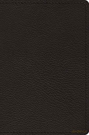 ESV Preaching Bible, Verse-by-Verse Edition [KSIĄŻKA]