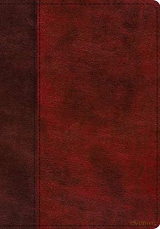 ESV Study Bible, TruTone, Burgundy/Red [KSIĄŻKA]