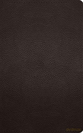 ESV Thinline Bible [KSIĄŻKA]