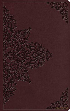 ESV Value Thinline Bible [KSIĄŻKA]
