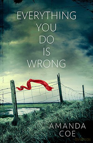 Everything You Do Is Wrong: Amanda Coe - Amanda Coe [KSIĄŻKA]