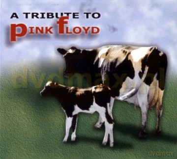 A Rock Tribute To Pink Floyd [CD]