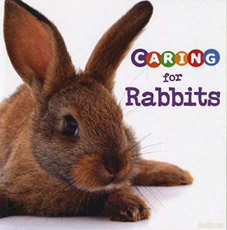 Expert Pet Care: Caring for Rabbits - Tammy Gagne [KSIĄŻKA]