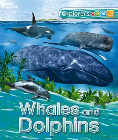 Explorers: Whales and Dolphins - Anita Ganeri [KSIĄŻKA]