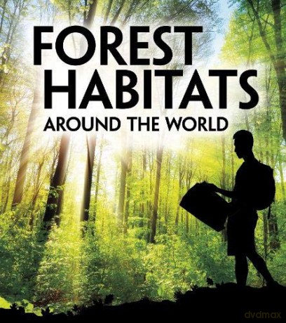 Exploring Earth's Habitats: Forest Habitats Around the World - M. M. Eboch [KSIĄŻKA]